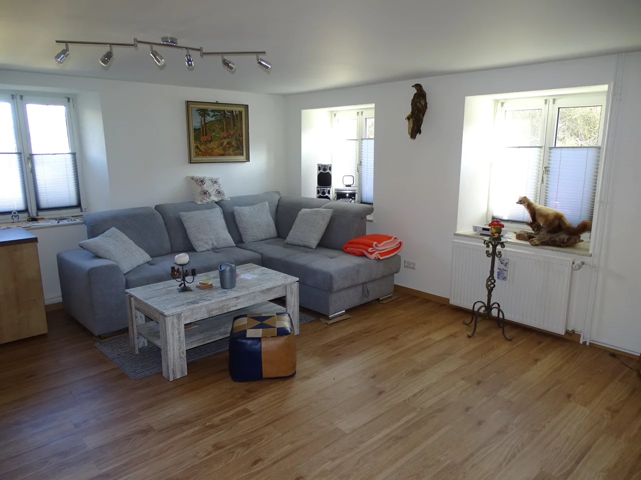 Einfamilienhaus mit Ferienwohnung in Wutach-Ewattingen - 5